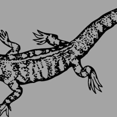 LIZARD02 Thumbnail