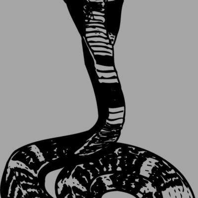 SNAKE006 Thumbnail