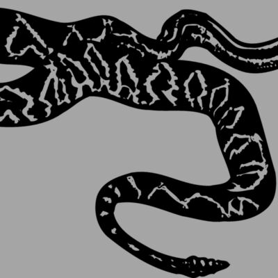 SNAKE007 Thumbnail