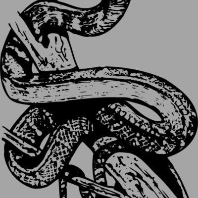 SNAKE008 Thumbnail