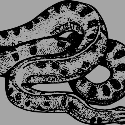 SNAKE010 Thumbnail