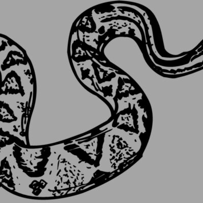 SNAKE011 Thumbnail