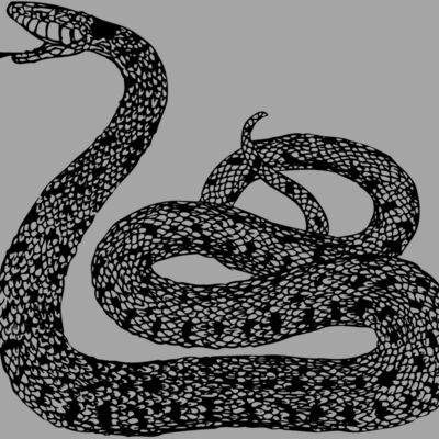 SNAKE015 Thumbnail