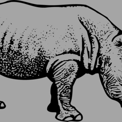 RHINO001 Thumbnail