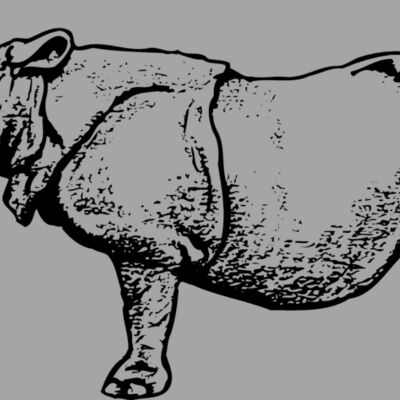 RHINO003 Thumbnail