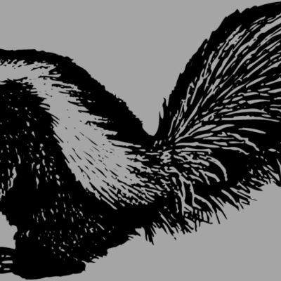 SKUNK002 Thumbnail