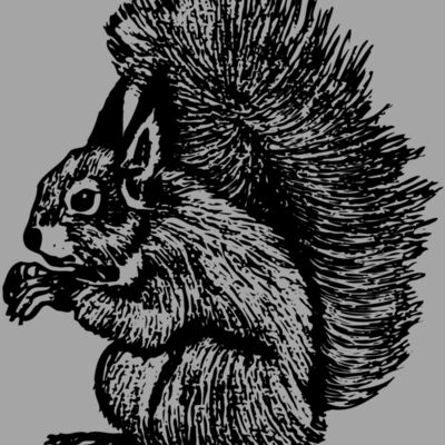 SQUER005 Thumbnail
