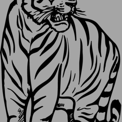 TIGER001 Thumbnail