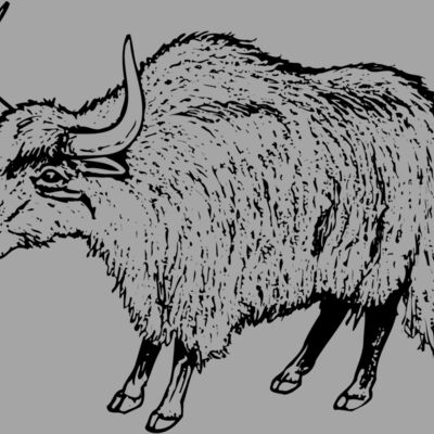 WBUFF004 Thumbnail