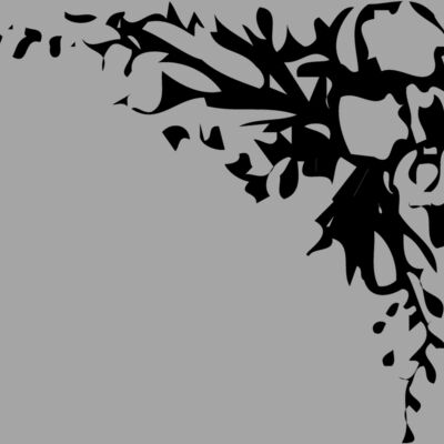 BRDR038 Thumbnail
