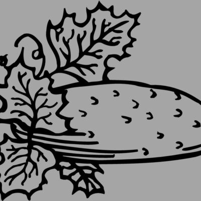 FRUIT002 Thumbnail