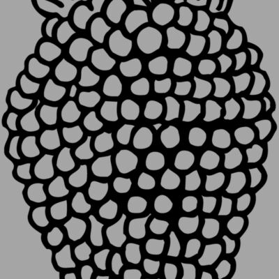 FRUIT003 Thumbnail