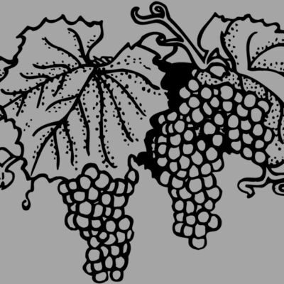 FRUIT005 Thumbnail
