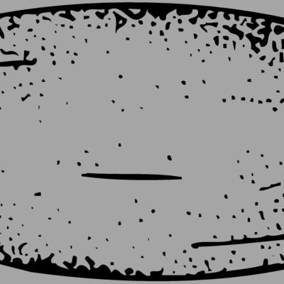 FRUIT006 Thumbnail