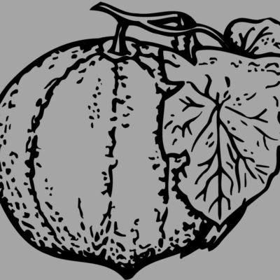 FRUIT007 Thumbnail