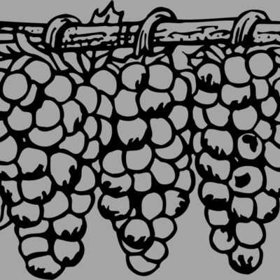 FRUIT015 Thumbnail