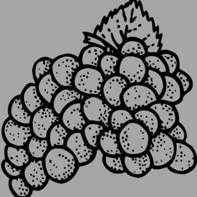 FRUIT016 Thumbnail