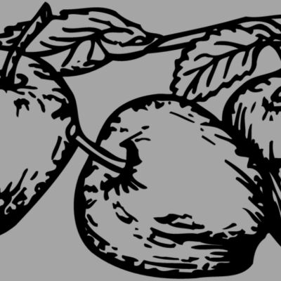 FRUIT018 Thumbnail