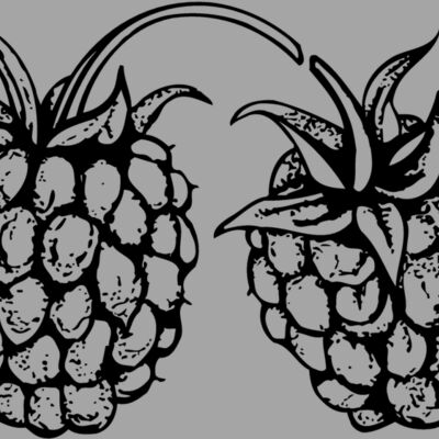 FRUIT032 Thumbnail