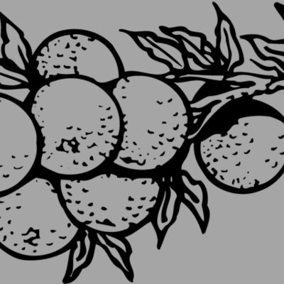 FRUIT035 Thumbnail