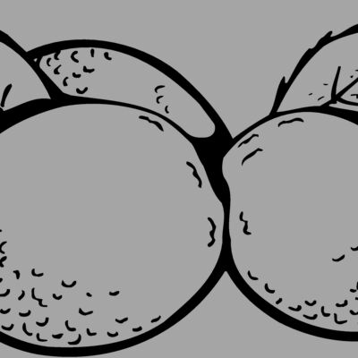 FRUIT036 Thumbnail