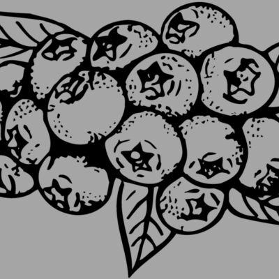 FRUIT037 Thumbnail