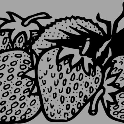 FRUIT038 Thumbnail