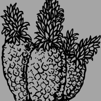 FRUIT039 Thumbnail