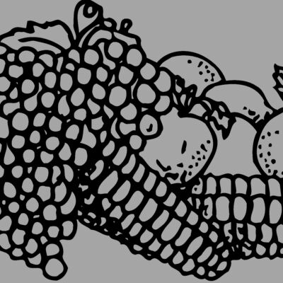 FRUIT049 Thumbnail