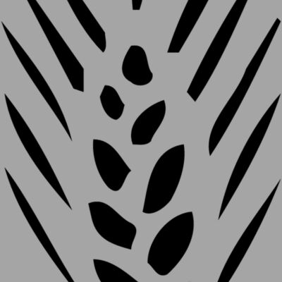 FRUIT057 Thumbnail