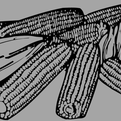 GRAIN005 Thumbnail