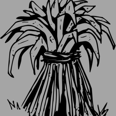 GRAIN007 Thumbnail