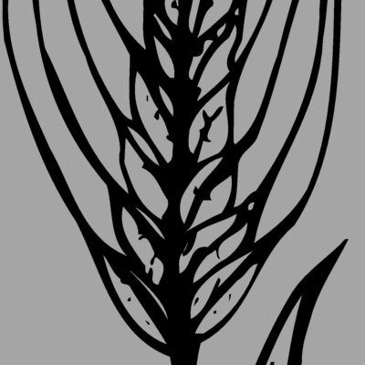GRAIN009 Thumbnail