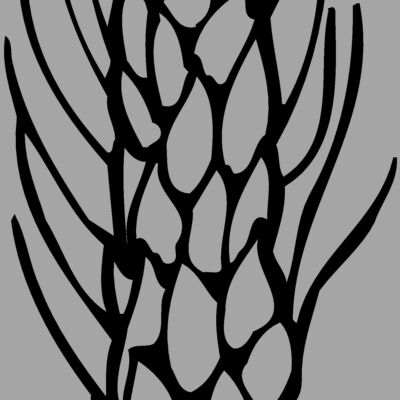 GRAIN010 Thumbnail