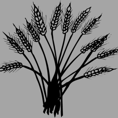 GRAIN015 Thumbnail