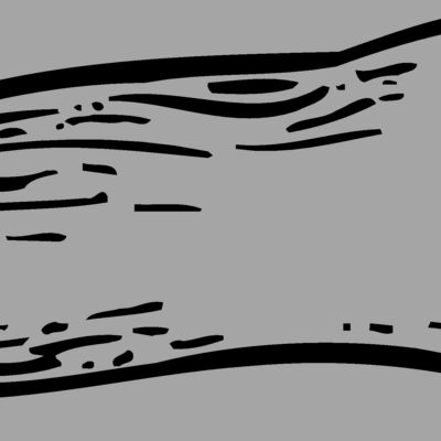 VEG012 Thumbnail