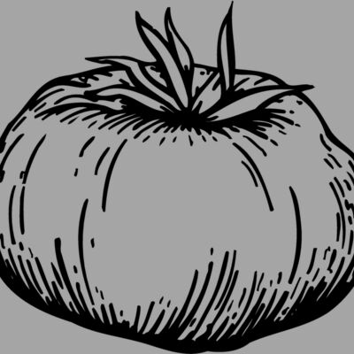 VEG015 Thumbnail