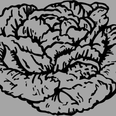 VEG016 Thumbnail