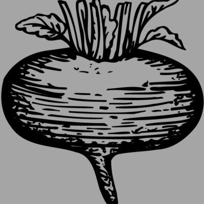 VEG018 Thumbnail
