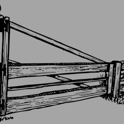 F0009 Thumbnail
