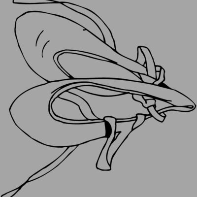 SHOE07 Thumbnail