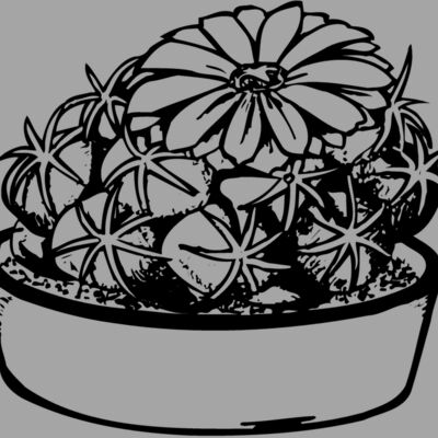 CACTUS02 Thumbnail