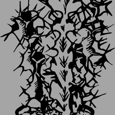 CACTUS04 Thumbnail