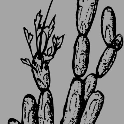 CACTUS08 Thumbnail