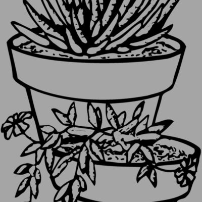 CACTUS14 Thumbnail