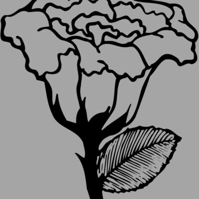 FLOWER10 Thumbnail