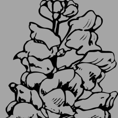 FLOWER14 Thumbnail