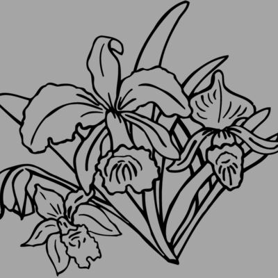 FLOWER18 Thumbnail