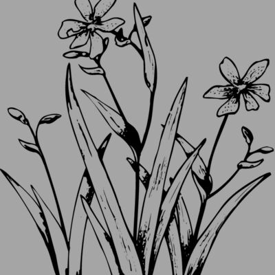 FLOWER19 Thumbnail