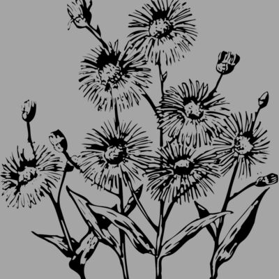 FLOWER22 Thumbnail